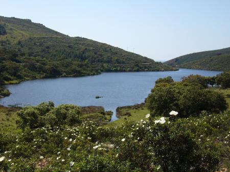 Imagen Pantano Ribera del Castaño